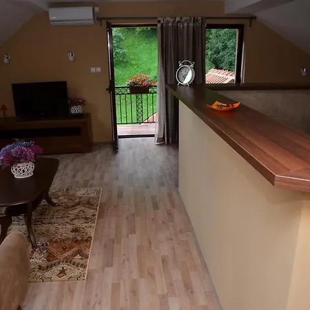 Guest house Milosevic