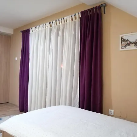Milosevic Guest house *